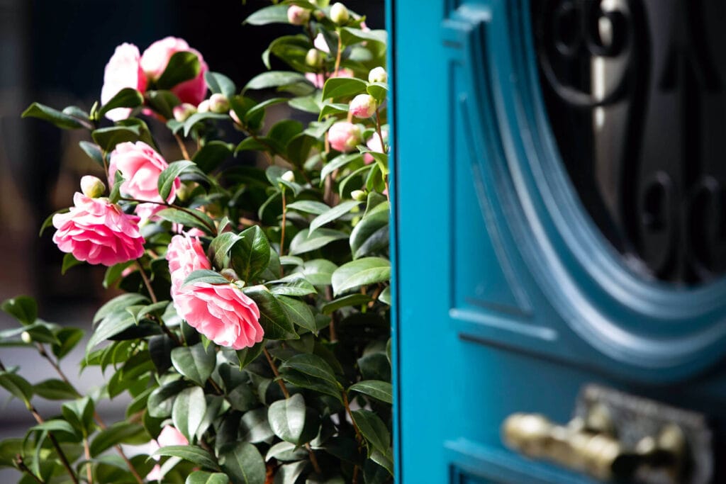 Odeon hotel paris saint germain 9